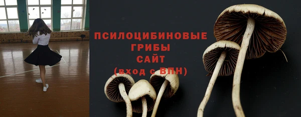 спиды Белокуриха