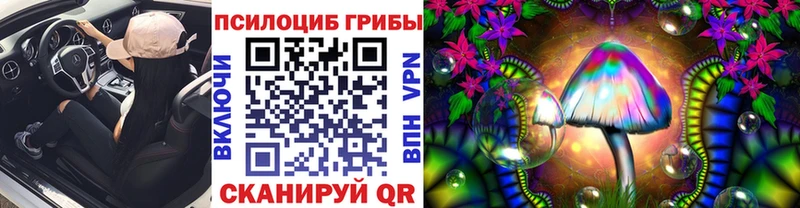 Галлюциногенные грибы GOLDEN TEACHER  площадка наркотические препараты  Железногорск-Илимский  закладки  hydra как войти 