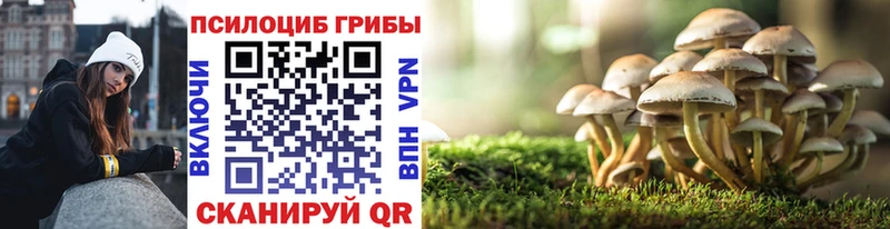 Псилоцибиновые грибы MAGIC MUSHROOMS Железногорск-Илимский